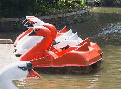 SwanBoat